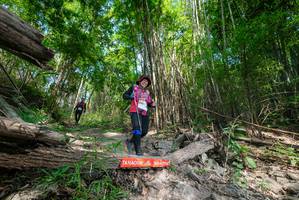 BIB: 
                            <button type="button" onclick="openModal(19391169)" class="btn btn-primary btn-sm float-right btn-popup" data-toggle="modal" data-target=".modal-high-quality">
                        <i class="fas fa-shopping-cart"></i> Add to Cart
                    </button>
                                            <button type="button" onclick="isThisMe(19391169, true)" class="btn btn-success btn-sm float-right btn-popup btn-isme hidden" data-toggle="tooltip" data-placement="bottom" title="นี่คือรูปของคุณใช่ไหม คลิกที่นี่เพื่อเอาเข้าอัลบั้ม">
                        <i class="fas fa-plus"></i> Add to album
                    </button>
                    <button type="button" onclick="isThisMe(19391169, false)" class="btn btn-warning btn-sm float-right btn-popup btn-isnotme hidden">
                        <i class="fas fa-ban"></i> Remove from album
                    </button>